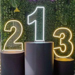 Numeric Neon Signs | Lucky Arts